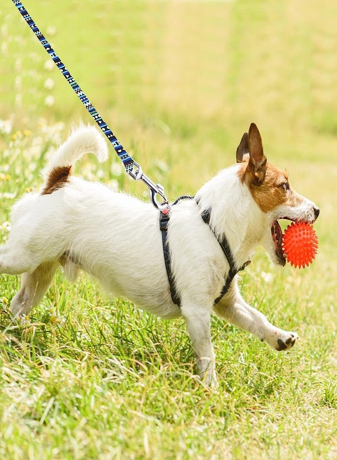 KIDWILL Double-Sided Reflective Dog Leash for Puppy, Small, Medium & Large Dogs, Strong and Durable Nylon Leashes for Running, Walking and Training, Heavy Duty 4ft Long Dog Leash with D Ring (Printed) - Image 2